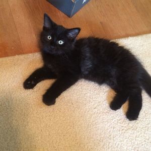 Meet your Posher, Barbara